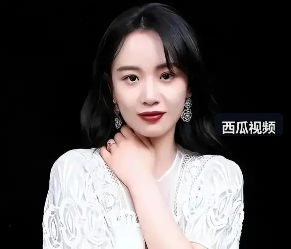 专题33 - 西瓜视频高清片源